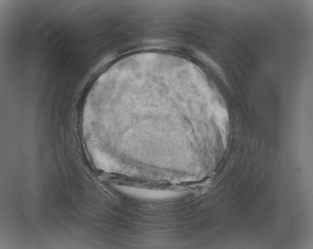 X0000082171411200702162249