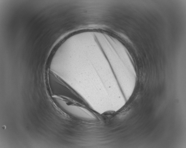 X0000082171412200702162249