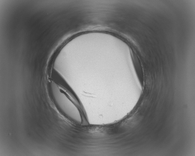 X0000082171414200702162249