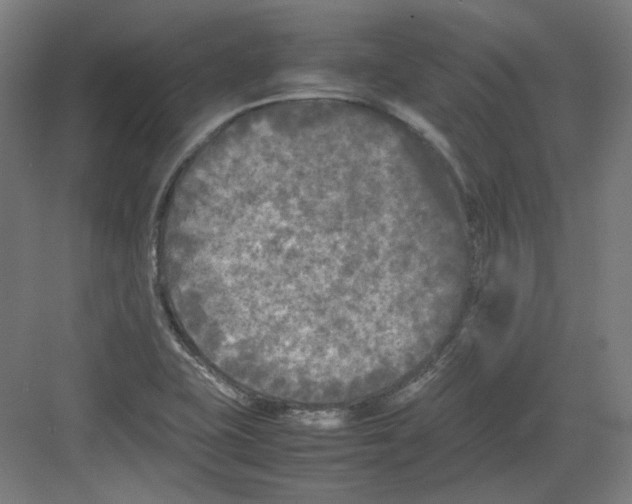 X0000082171415200702162249