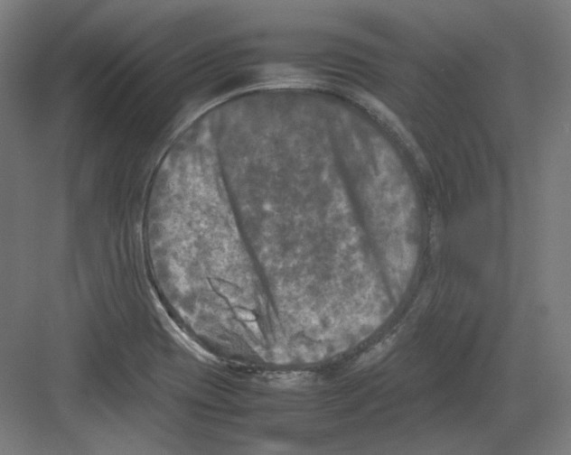 X0000082171417200702162249