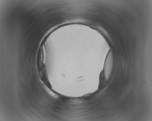 X0000082171420200702162249