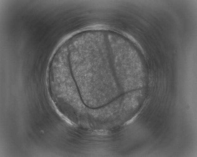 X0000082171421200702162249