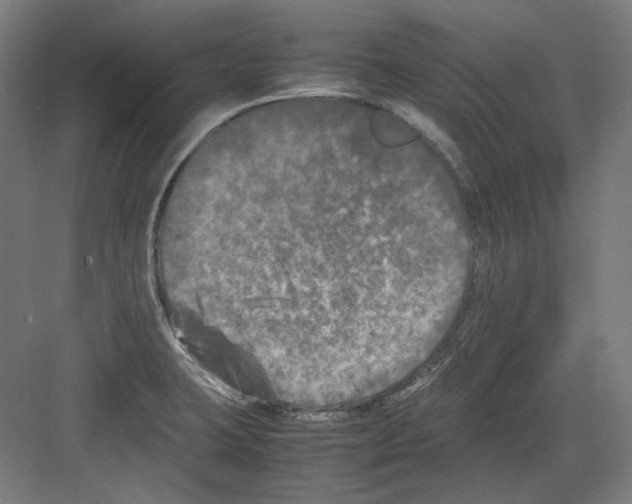 X0000082171423200702162249