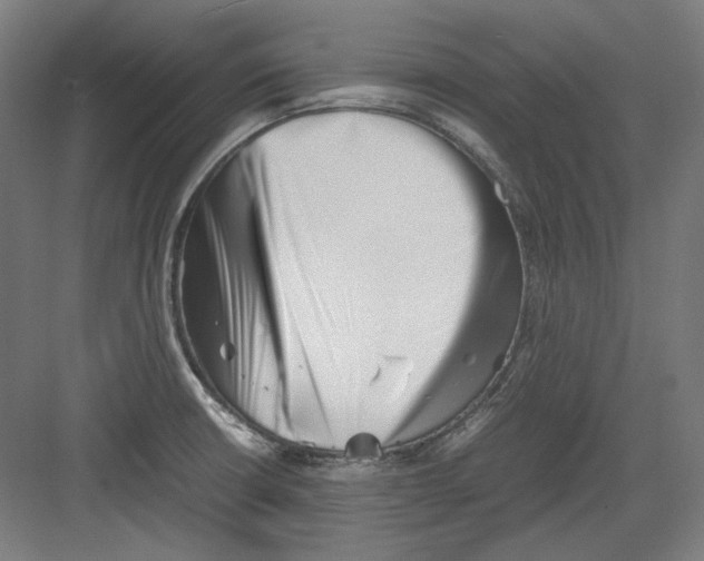 X0000082171426200702162249