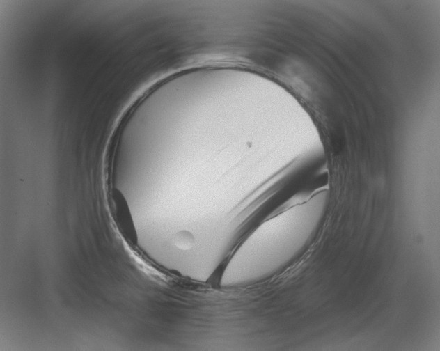 X0000082171430200702162249