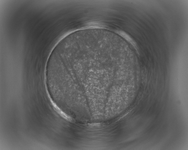 X0000082171431200702162249