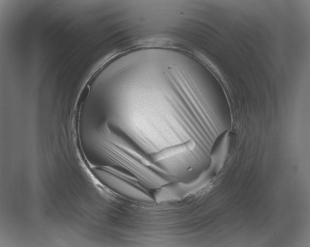 X0000082171434200702162249