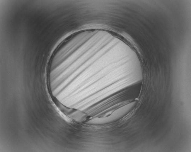 X0000082171438200702162249