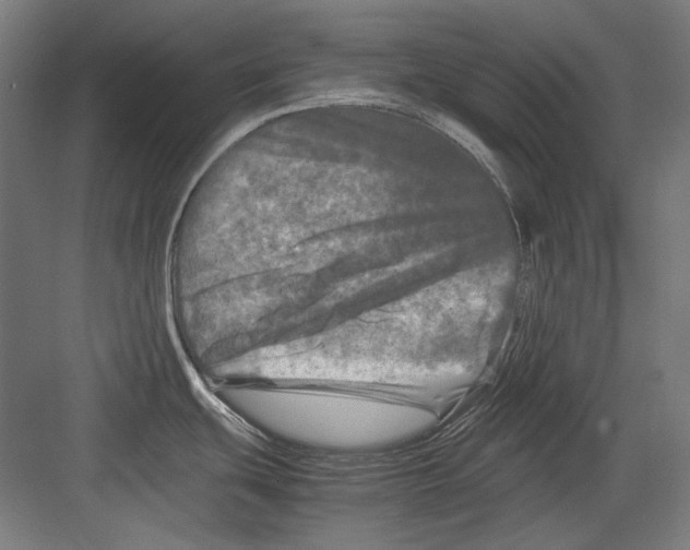 X0000082171439200702162249