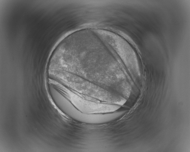 X0000082171440200702162249