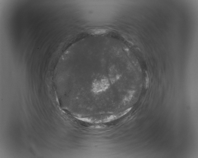 X0000082171441200702162249