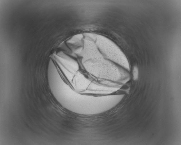 X0000082171444200702162248