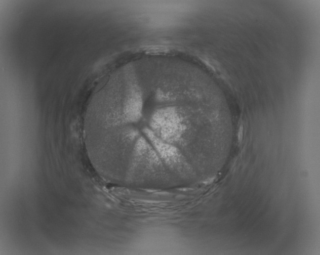 X0000082171445200702162248