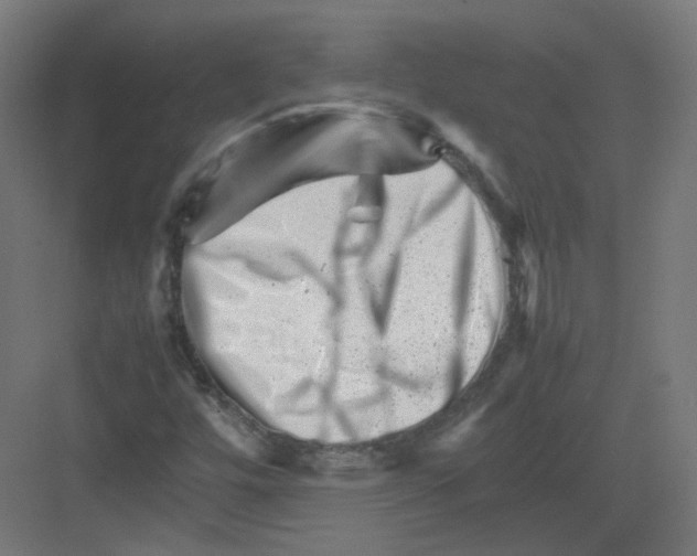 X0000082171448200702162248