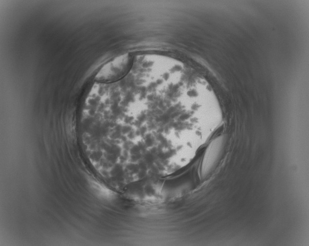 X0000082171450200702162248