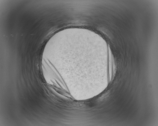 X0000082171451200702162248