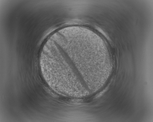 X0000082171453200702162248