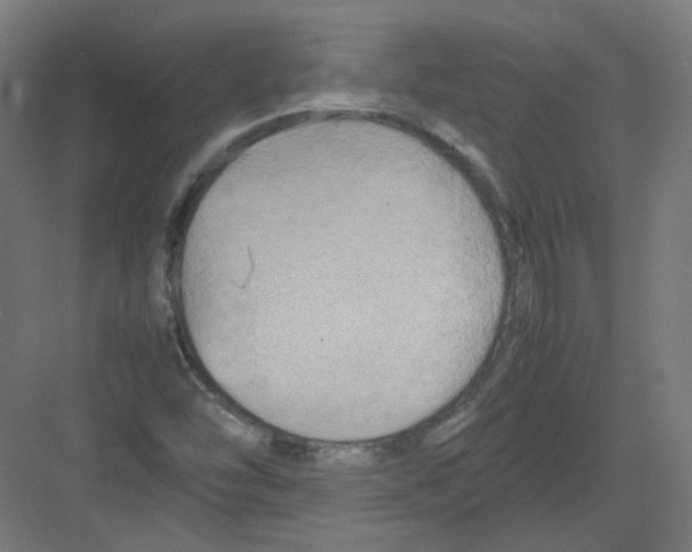 X0000082171454200702162248