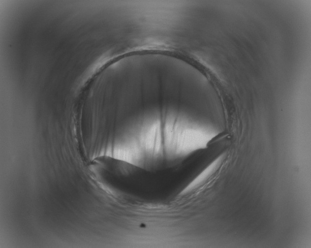 X0000082171455200702162248