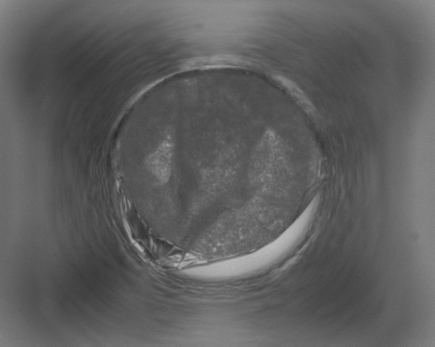 X0000082171457200702162248