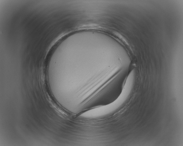 X0000082171458200702162248