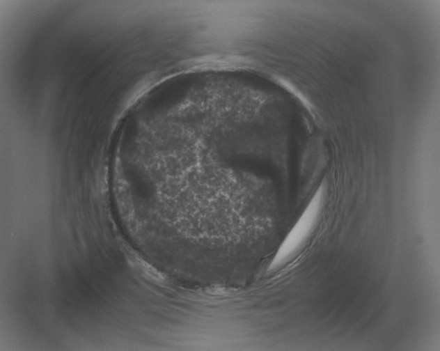 X0000082171459200702162248