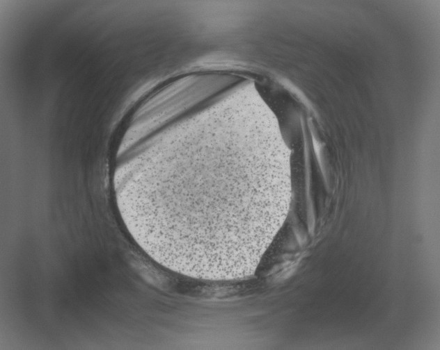 X0000082171461200702162248