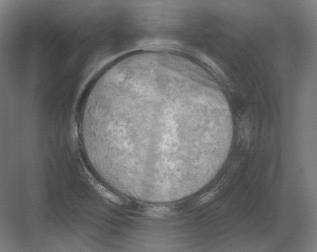 X0000082171462200702162248