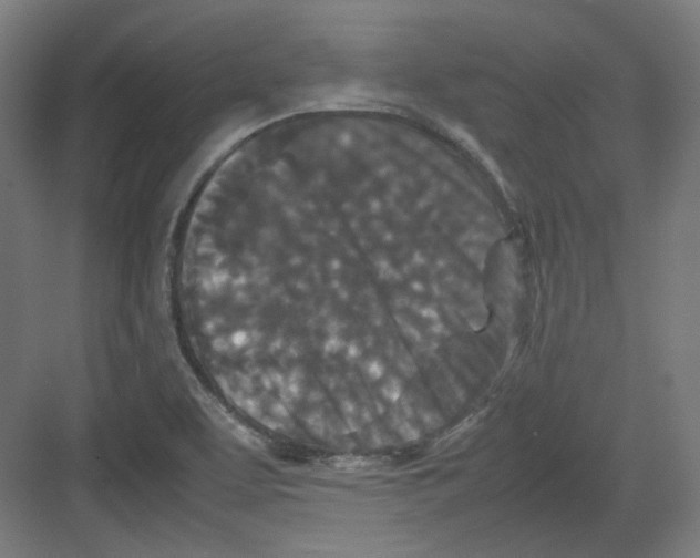 X0000082171463200702162248