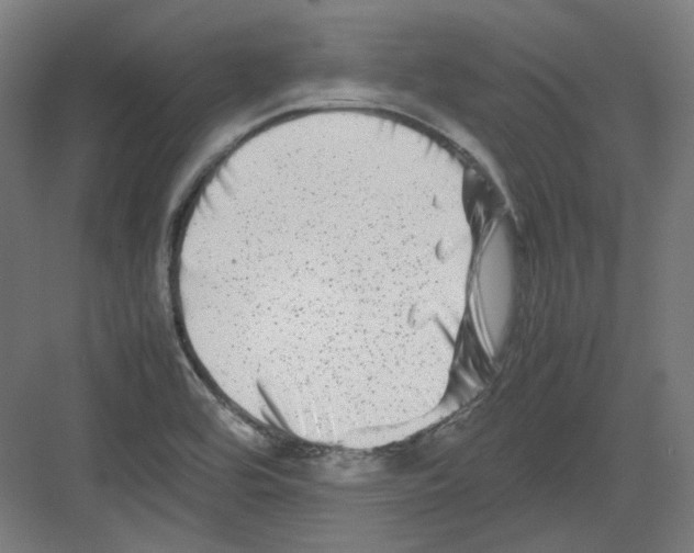 X0000082171464200702162248