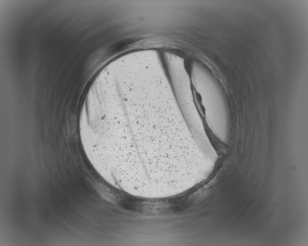 X0000082171465200702162248