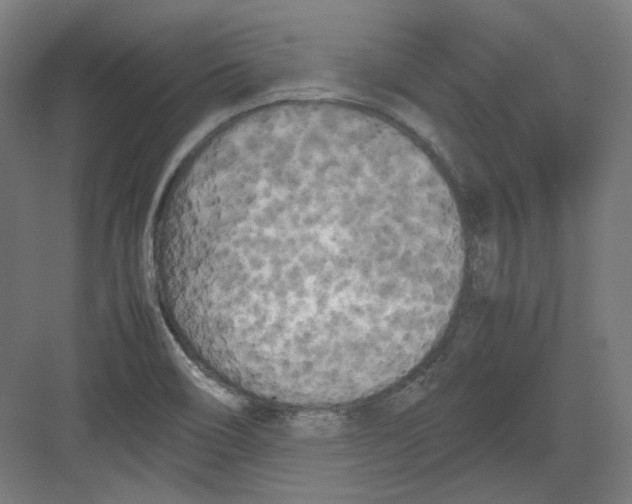 X0000082171466200702162248