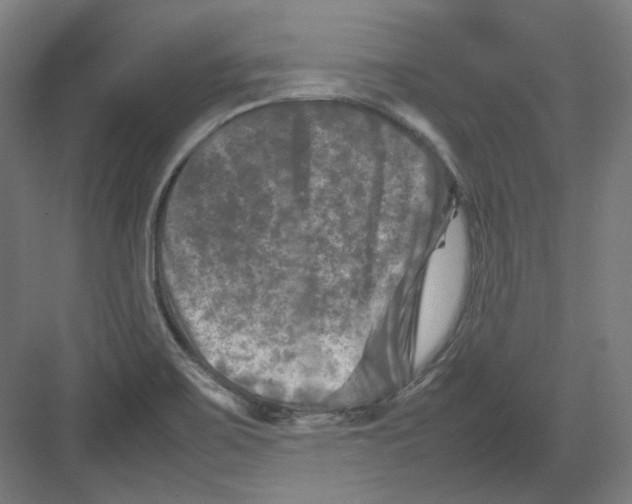 X0000082171467200702162248