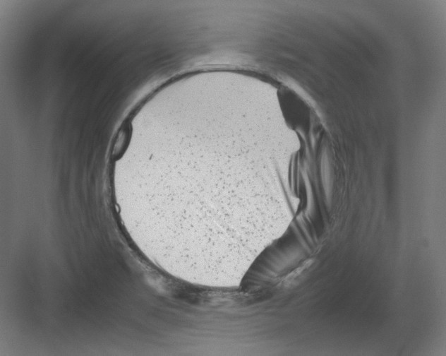 X0000082171469200702162248