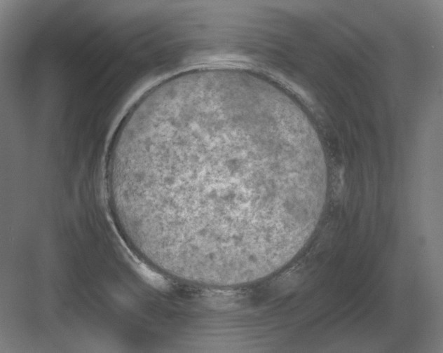 X0000082171470200702162248