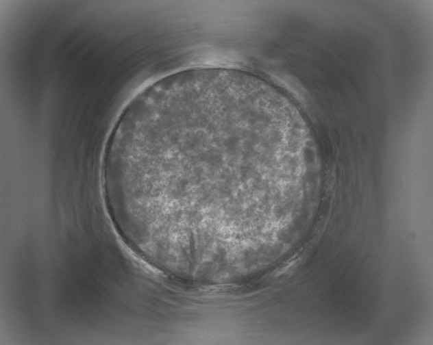 X0000082171471200702162248