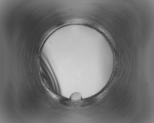 X0000082171473200702162248