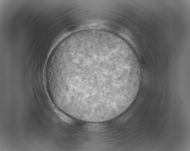 X0000082171474200702162248