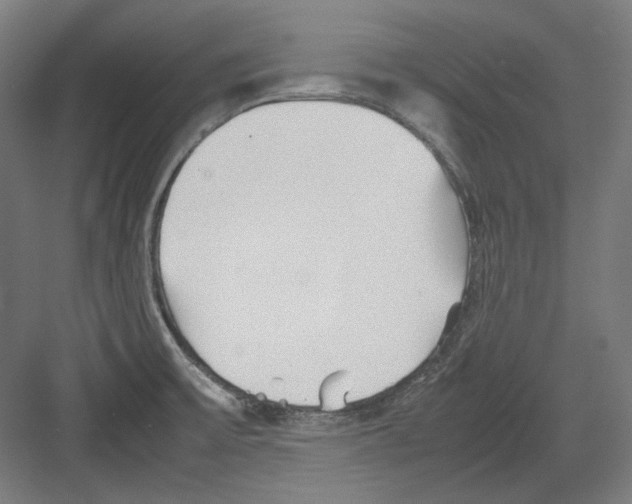 X0000082171475200702162248