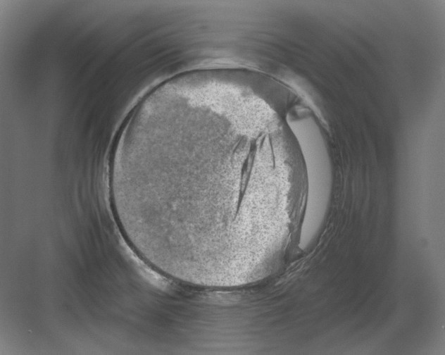 X0000082171476200702162248