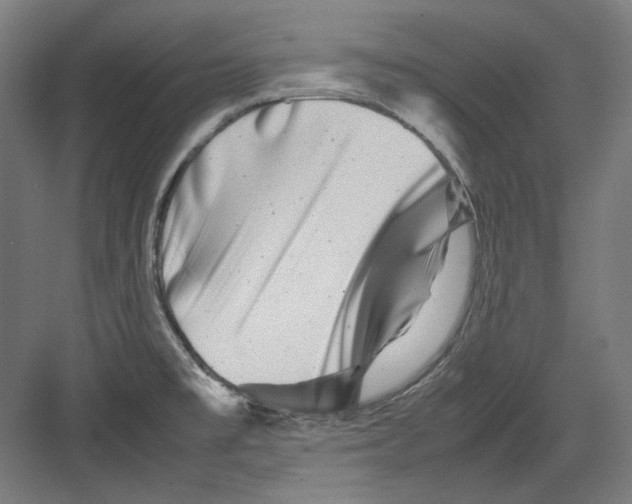 X0000082171477200702162248