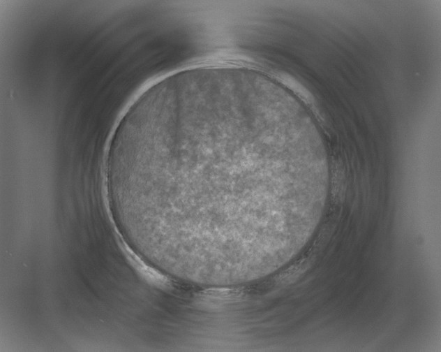 X0000082171478200702162248