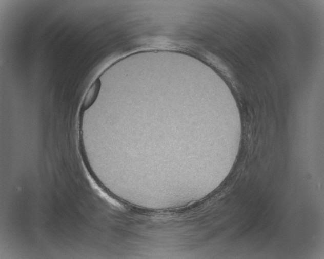 X0000082171479200702162248