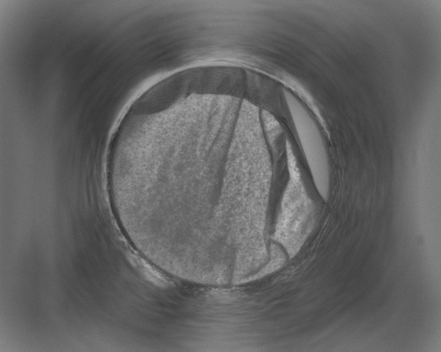 X0000082171480200702162248