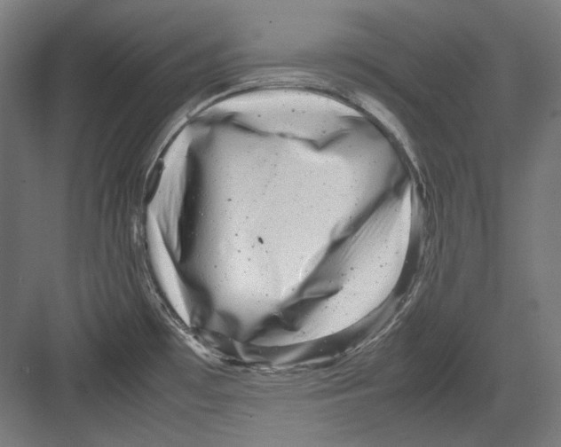 X0000082171481200702162248