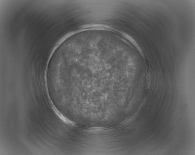 X0000082171482200702162248