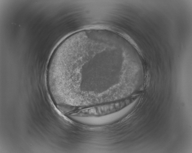 X0000082171484200702162248