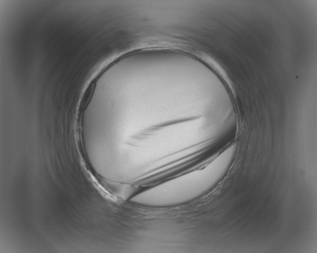 X0000082171485200702162248