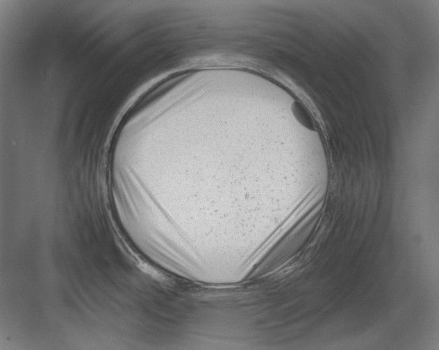 X0000082171486200702162248